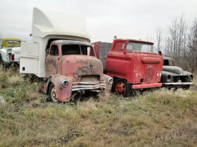 Old trucks in a field along Highway 16