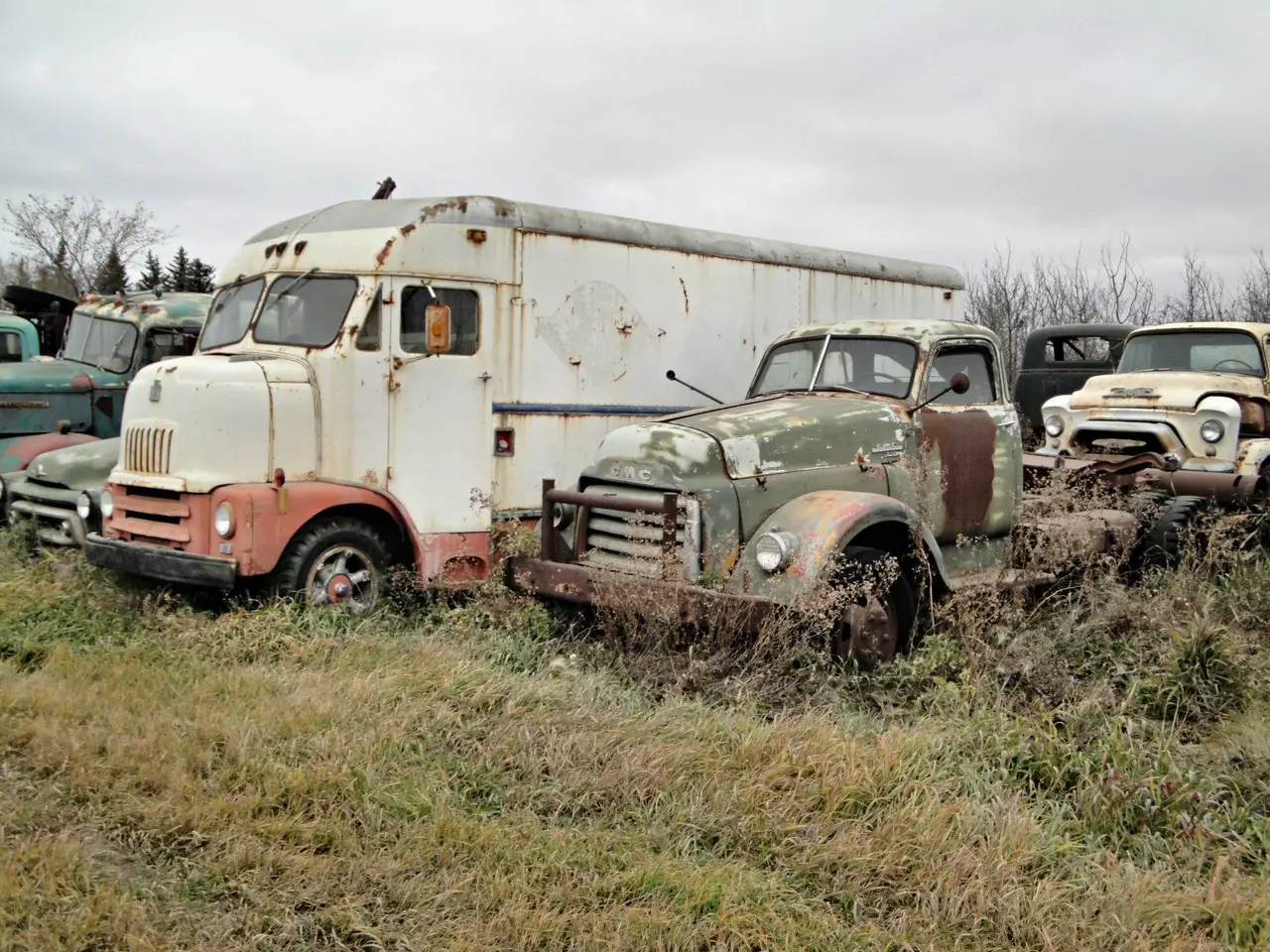 Old trucks in a field west of town, 2011