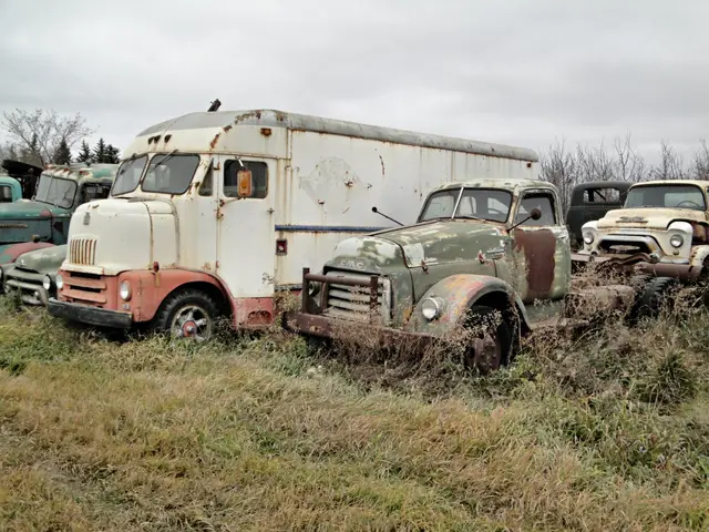 Old trucks in a field west of town