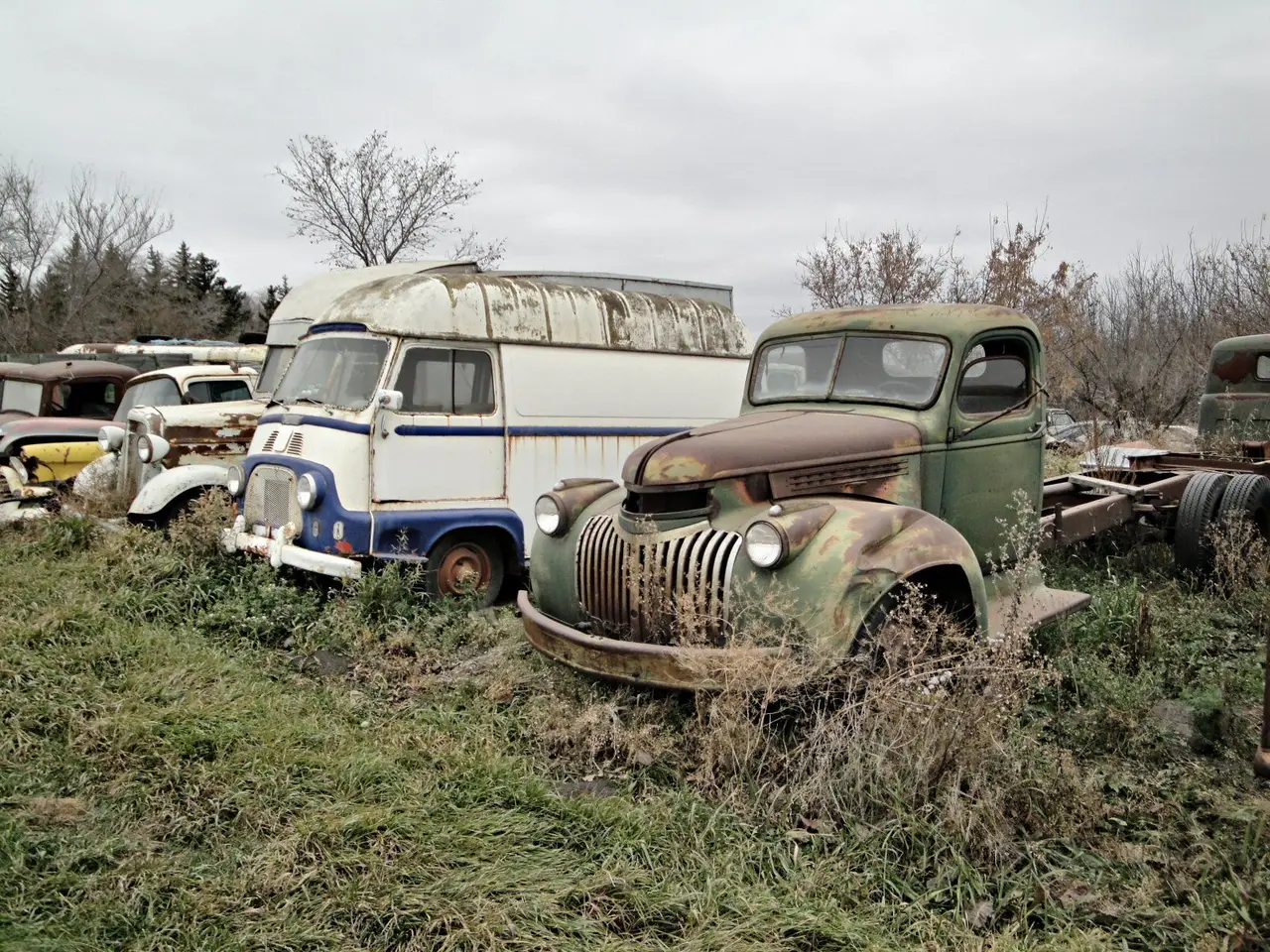 Old vehicles in a junkyard on Highway 16, 2011
