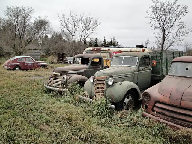 Old vehicles in a field west of town