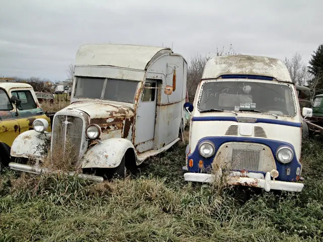 Old vehicles in a junkyard near Highway 16
