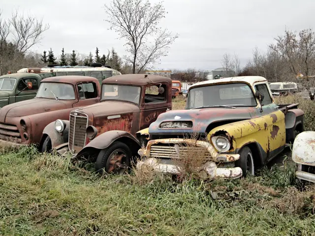 Old trucks in a junkyard on Highway 16